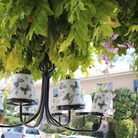 Ivoton Home Paphos Eksteriør billede